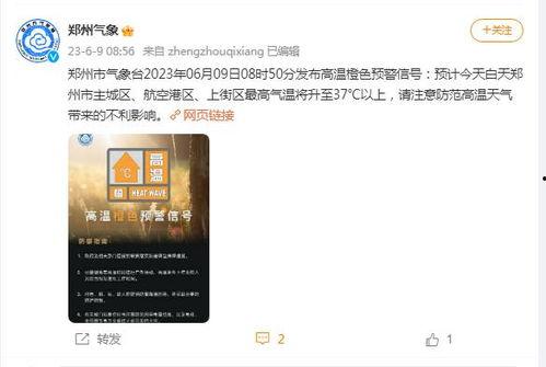 郑州刘先生最新爆料新闻,揭秘某事件背后惊人真相